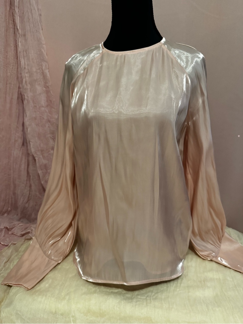 Express Sheer Satin Blouse in Blush Pink
